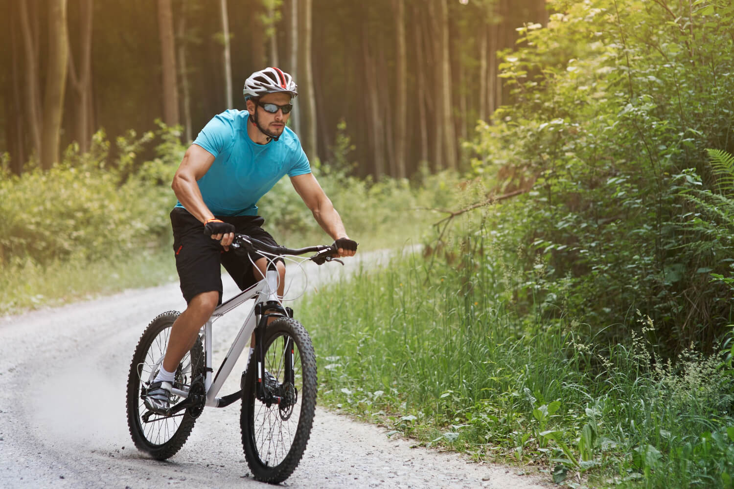 Do Bikes Have To Obey Traffic Laws